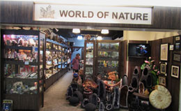 World of Nature